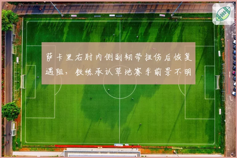 萨卡里右肘内侧副韧带扭伤后恢复遇阻,教练承认草地赛季前景不明
