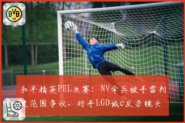 和平精英PEL决赛：NV伞兵被手雷判定范围争议，对手LGD诚c反杀镜头对比