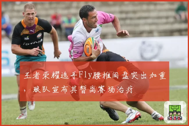 王者荣耀选手Fly腰椎间盘突出加重，狼队宣布其暂离赛场治疗