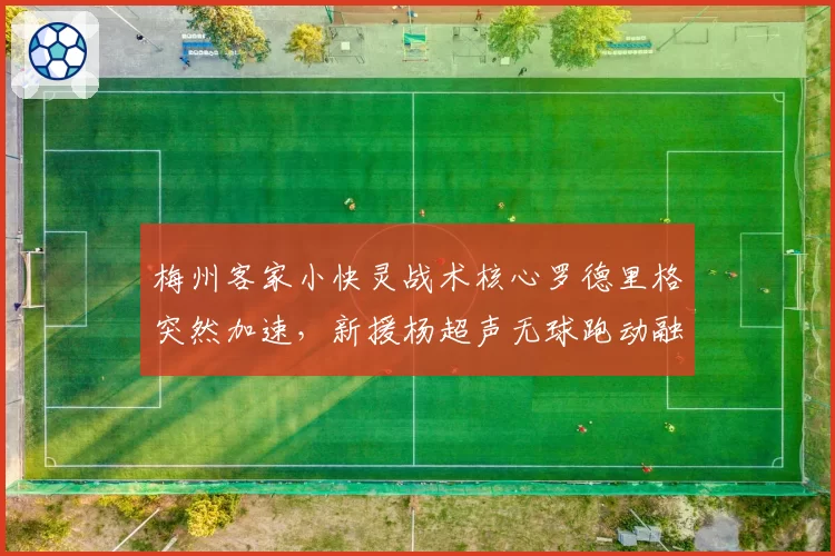 梅州客家小快灵战术核心罗德里格突然加速，新援杨超声无球跑动融入存疑