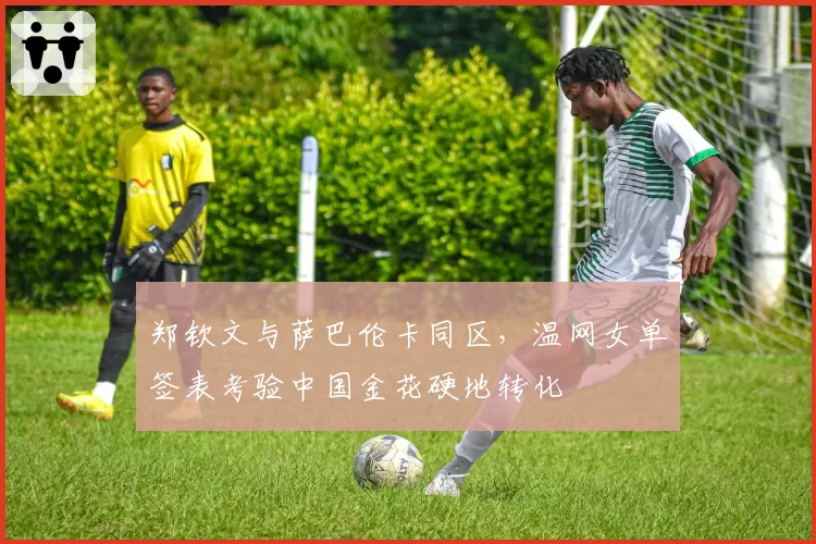 郑钦文与萨巴伦卡同区,温网女单签表考验中国金花硬地转化
