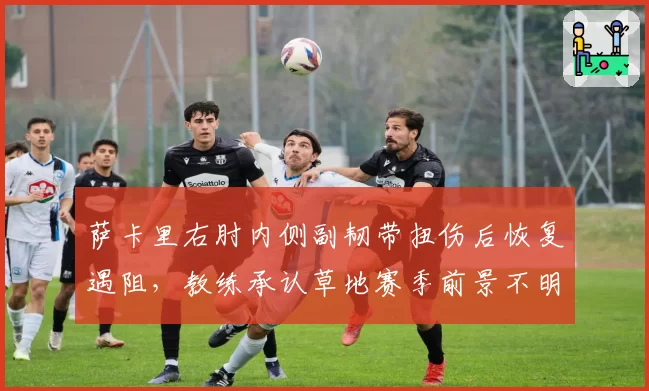 萨卡里右肘内侧副韧带扭伤后恢复遇阻,教练承认草地赛季前景不明