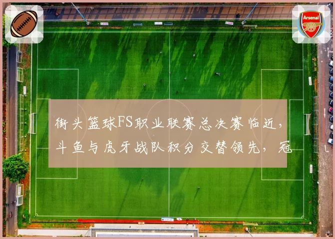 街头篮球FS职业联赛总决赛临近，斗鱼与虎牙战队积分交替领先，冠军花落谁家？