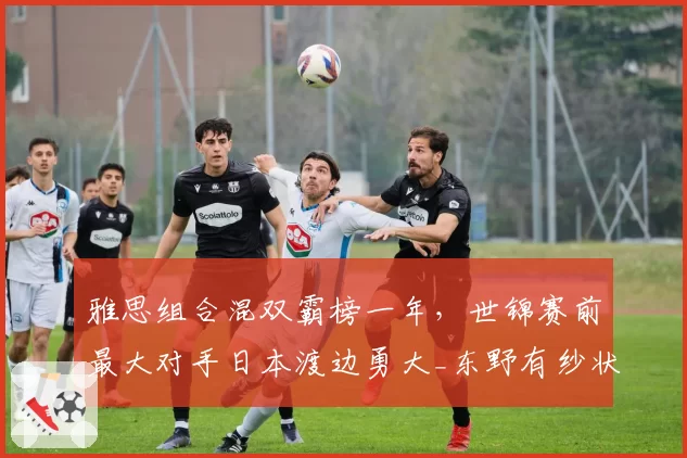 雅思组合混双霸榜一年,世锦赛前最大对手日本渡边勇大_东野有纱状态回升?